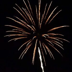 Flower Wave Crown with Tail (4 Zoll) 3er Pack