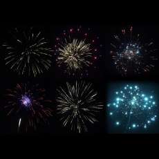 Profi-Rock´s Directors Selection (6er Set)