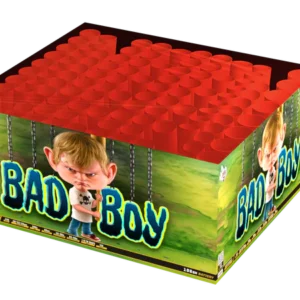 Bad Boy