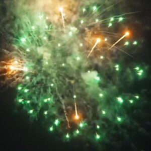 Green Peony with Orange Coco Pistil (3 Zoll) 6er Pack