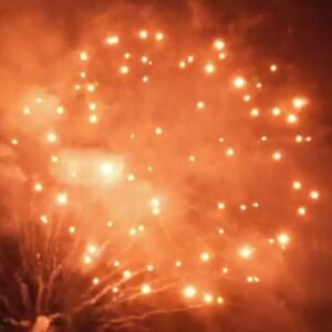 Orange Strobe Peony (3 Zoll) 6er Pack