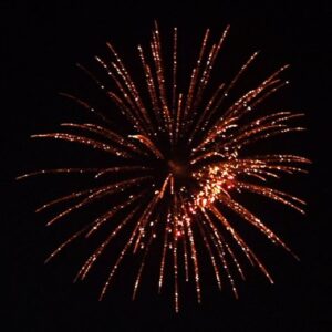 Red Diamond Shining Willow (3 Zoll) 6er Pack